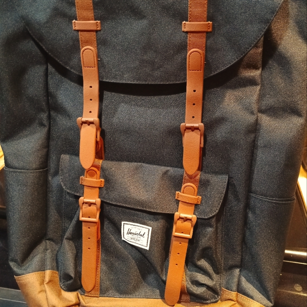 Hershel double strap Backpack Black and New without the tags